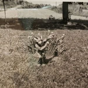 Meet your Posher, Theresa